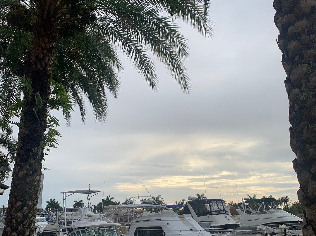 Tarpon Point Marina-开普科勒尔必去景点