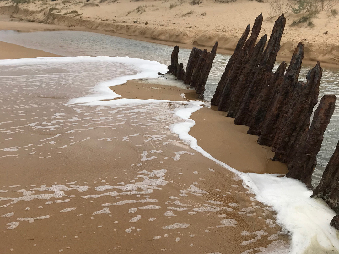 Trinculo Shipwreck-Golden Beach必去景点