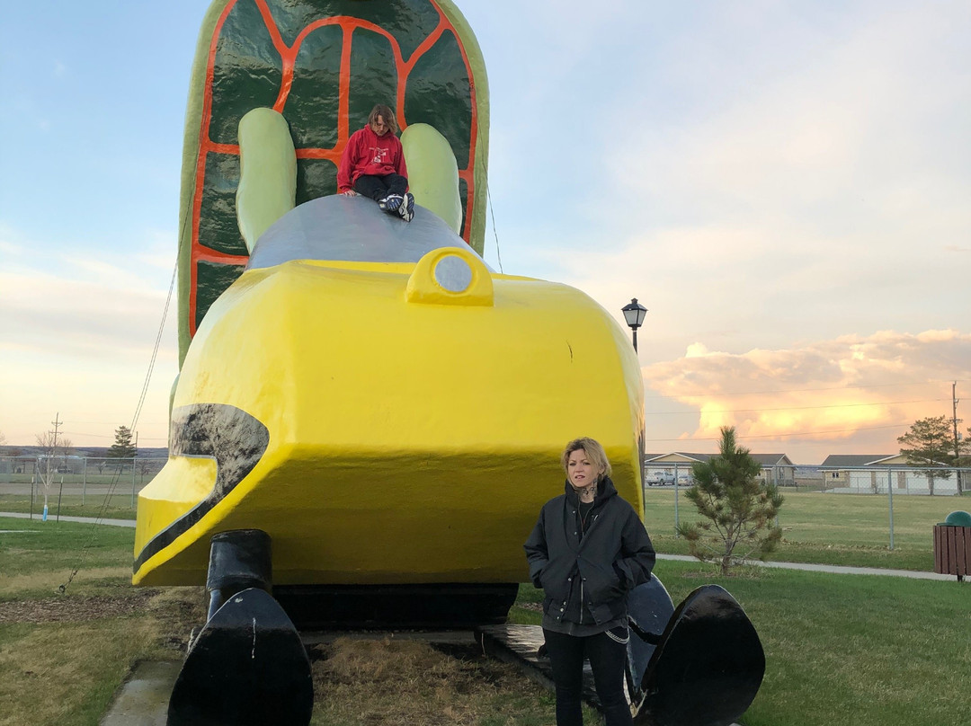 Tommy Turtle Statue-Bottineau必去景点