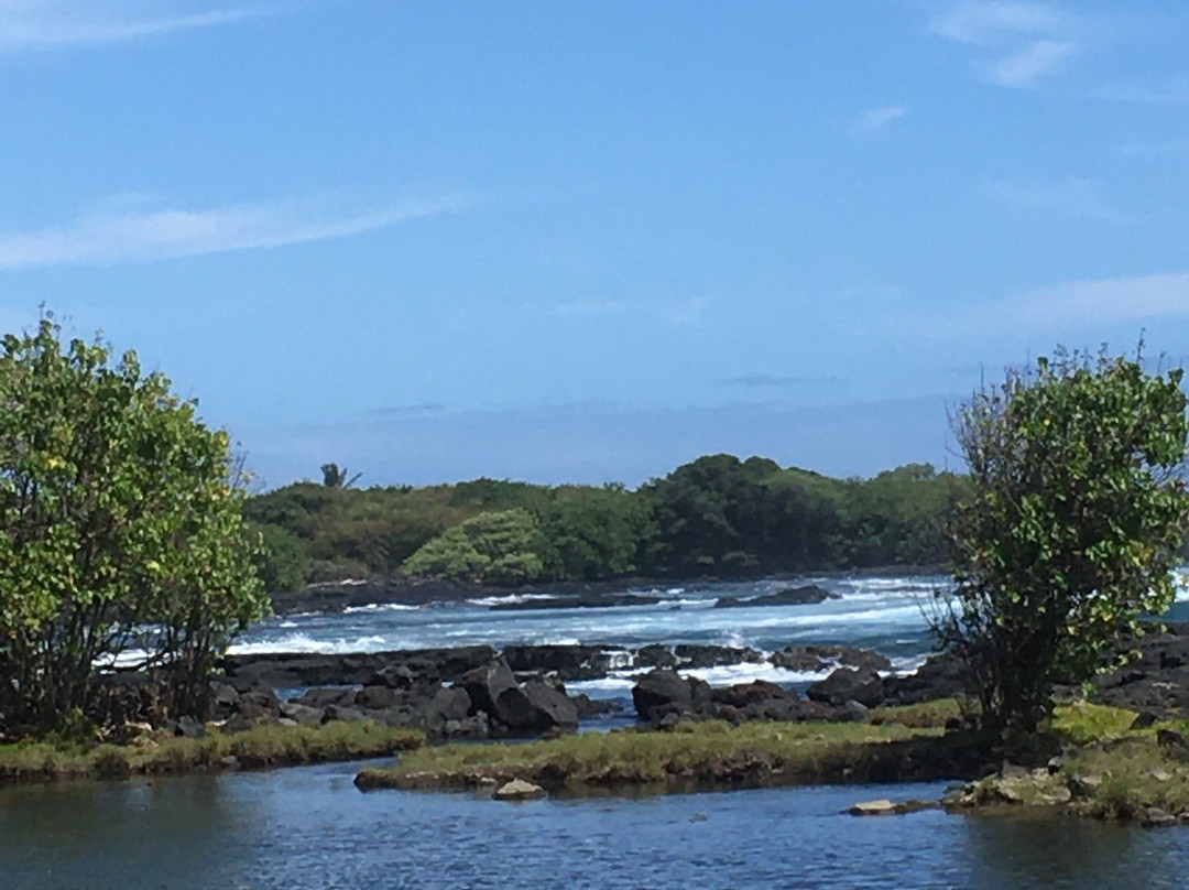 Whittington Beach Park-纳勒胡必去景点