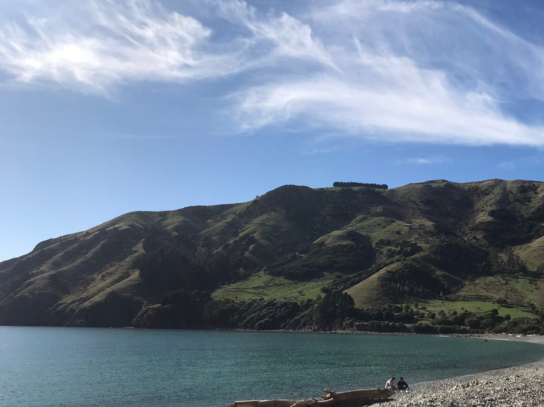 Cable Bay Walkway景点图片