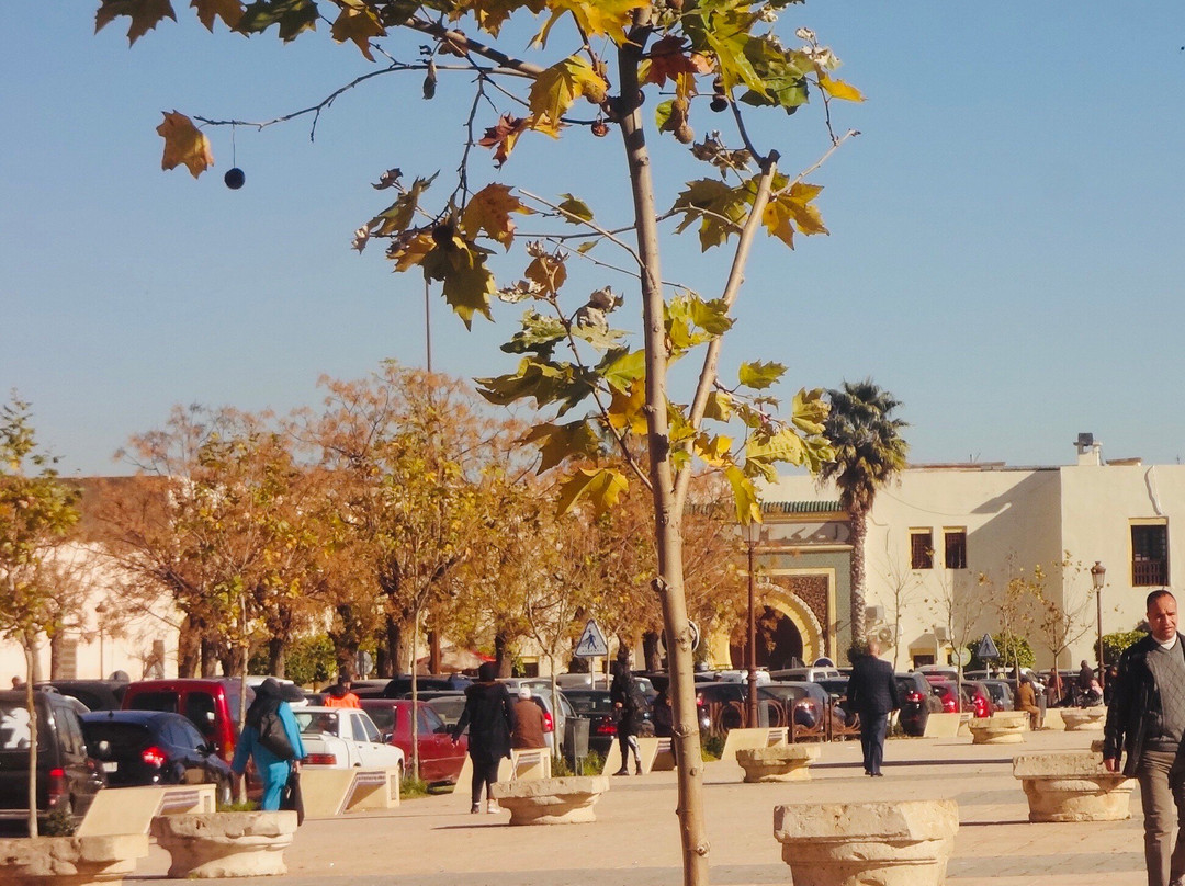 Piazza Lalla Aouda景点图片