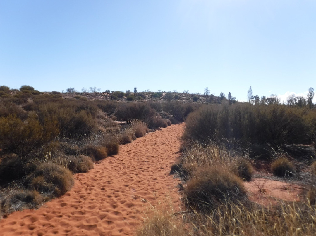 Imalung Lookout-尤拉拉必去景点
