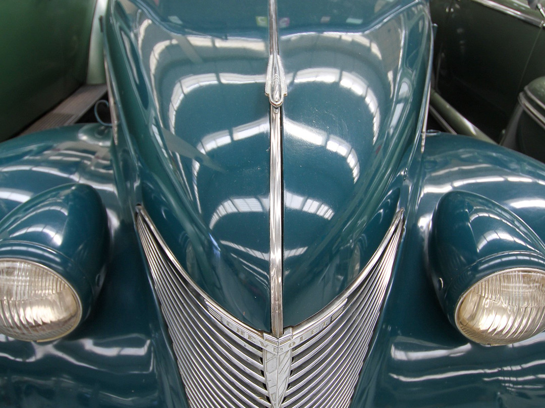Southward Car Museum景点图片