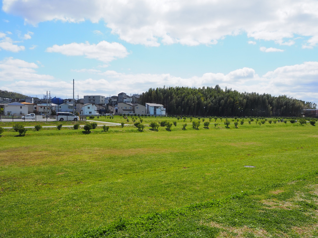 Kuzu Daibaato Park景点图片