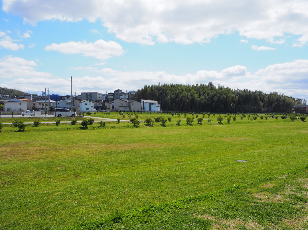 Kuzu Daibaato Park-枚方市必去景点