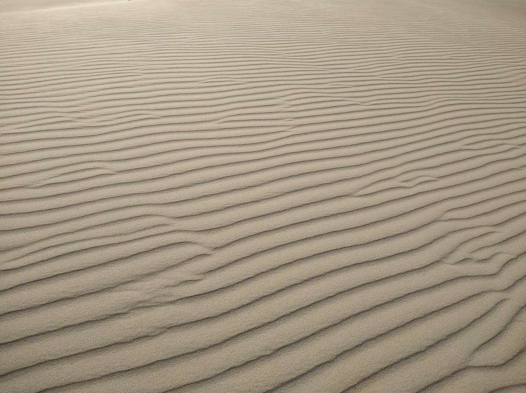 Killpecker Sand Dunes景点图片