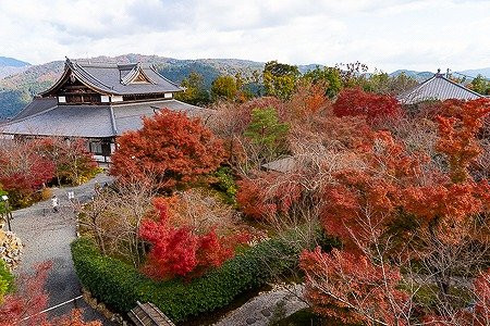将军冢-京都市必去景点