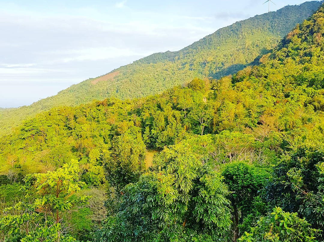 Puerto Galera Zipline-葡多咖蕾拉必去景点