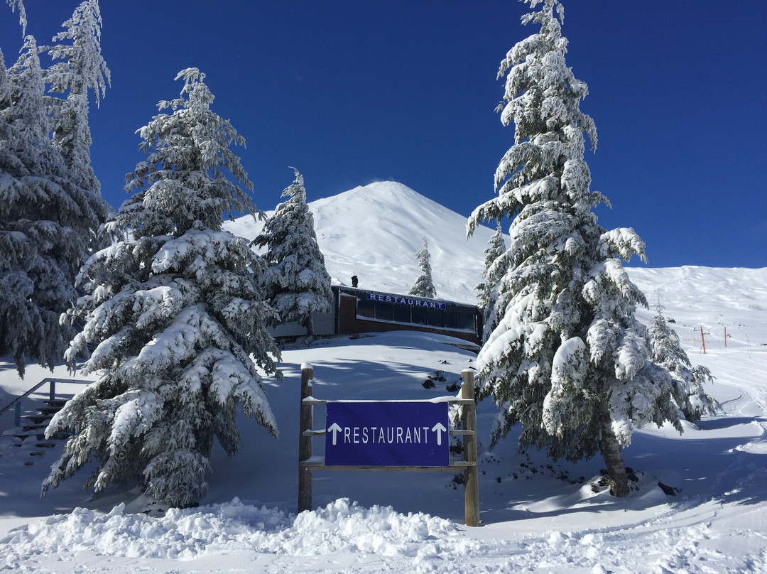 centro de ski Volcan Antuco-Los Angeles必去景点