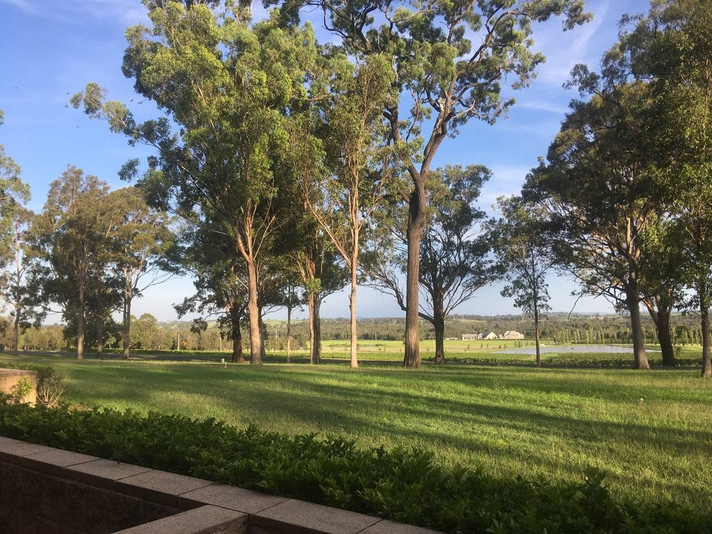 马丁尼马奇酒店主图