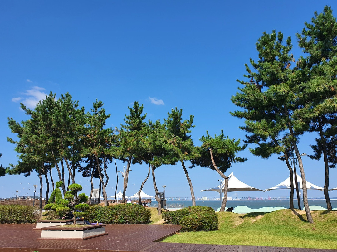 Dangjin Port Tourism Organization-唐津郡必去景点