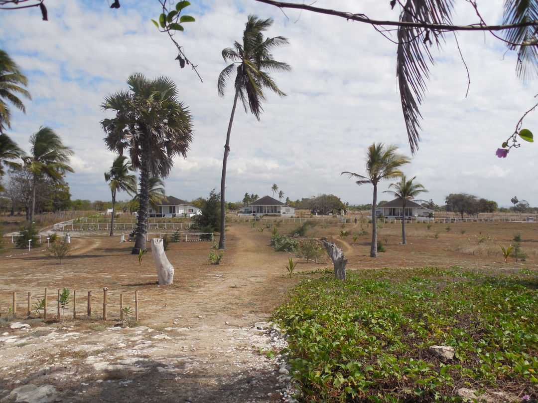 Wera Beach Resort主图