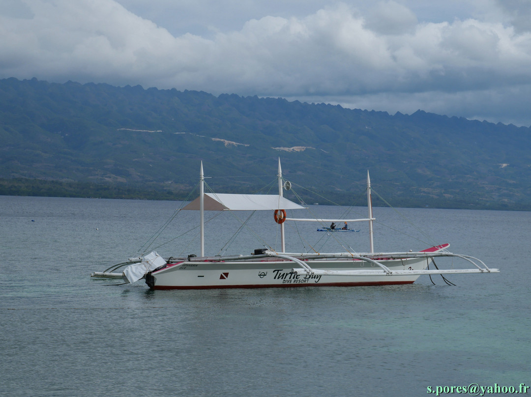 海龟湾潜水度假村主图