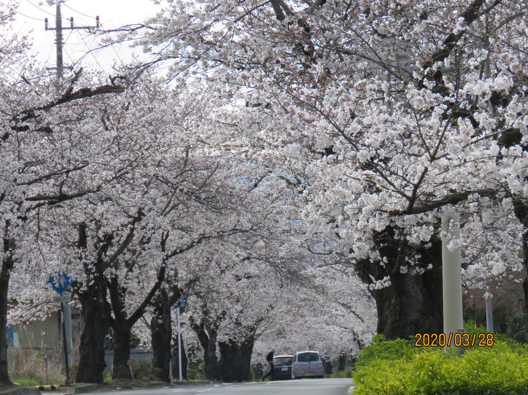 Nagatoromachi Tourist Information Center-长瀞町必去景点