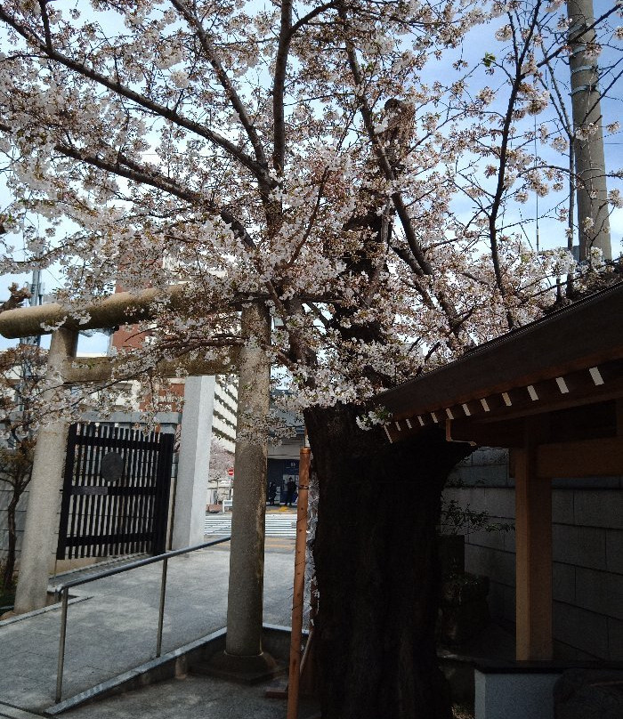 Daikoku Shrine-Komagome必去景点