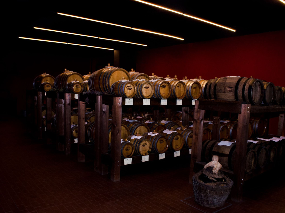 Aceto Balsamico del Duca di Adriano Grosoli dal 1891景点图片