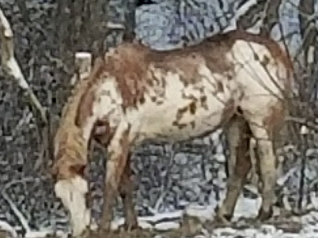 Truxton旅游攻略图片