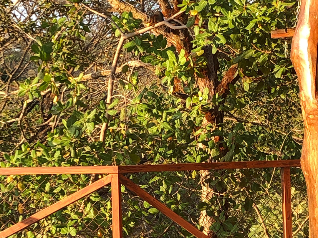 Hotel Cerro Lodge主图