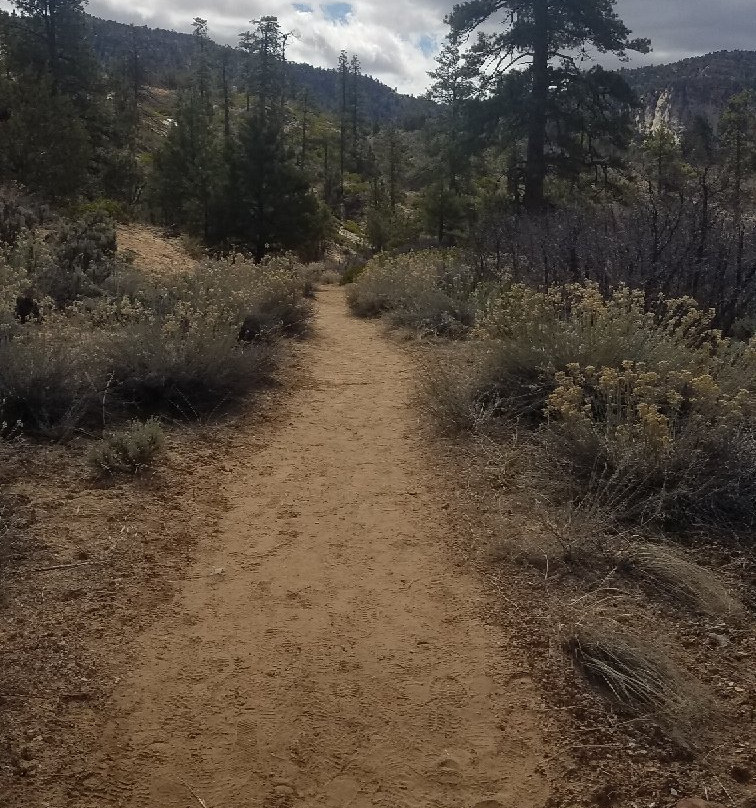 East Rim Trail-锡安国家公园必去景点