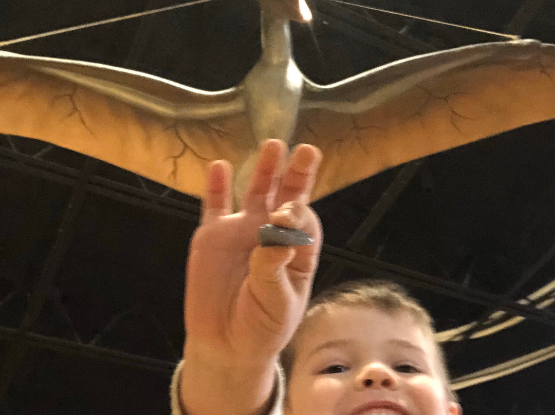 Dino Dig-Murfreesboro必去景点