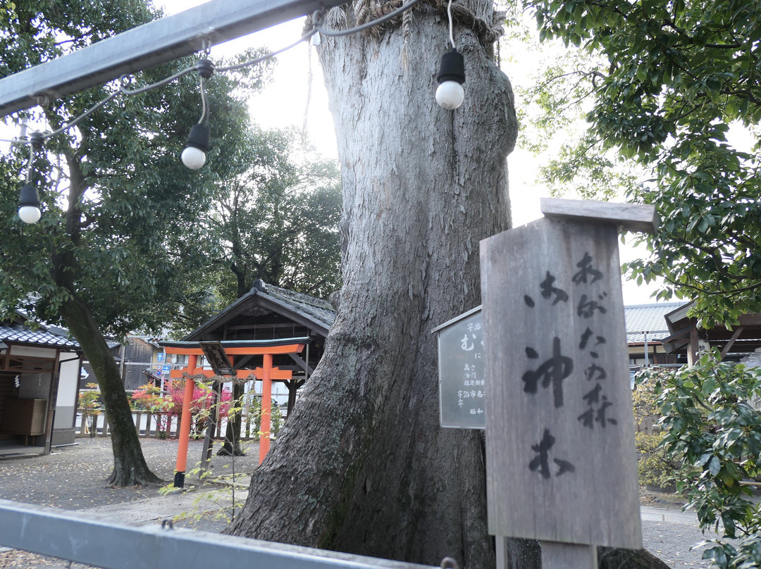 Agata Shrine-宇治市必去景点