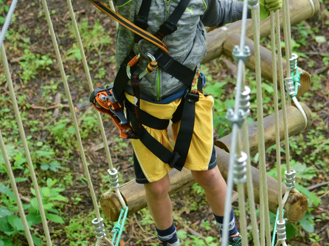 Treetop Quest Greenville-格林维尔必去景点