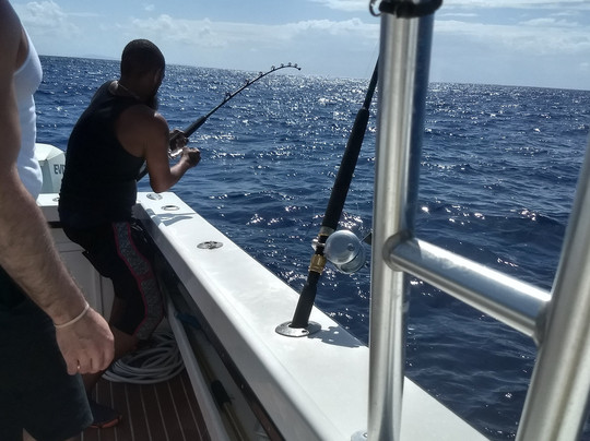 Fathom Charters-吕康必去景点