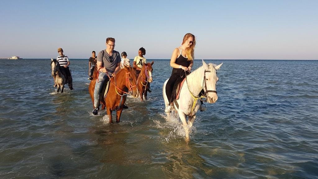 Egypt Horse Ride-赫尔格达必去景点