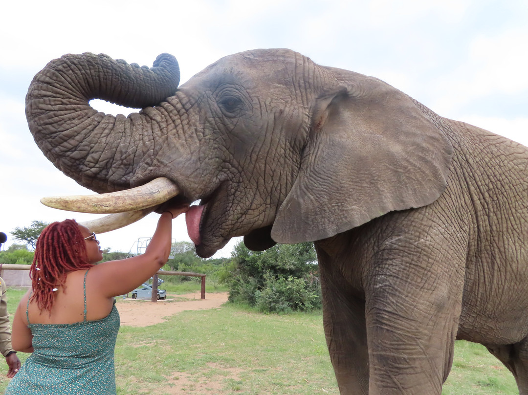Adventures with Elephants-贝拉贝拉必去景点