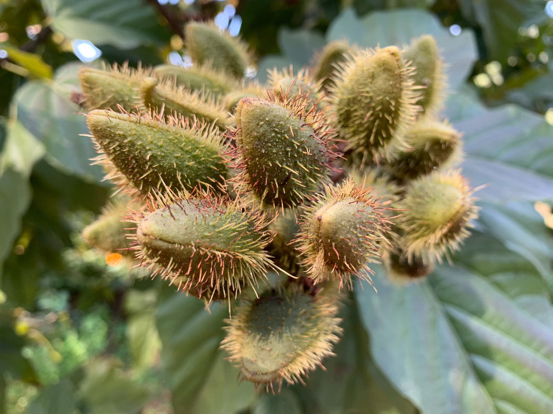 MPT Marble Rocks - Bhedaghat主图