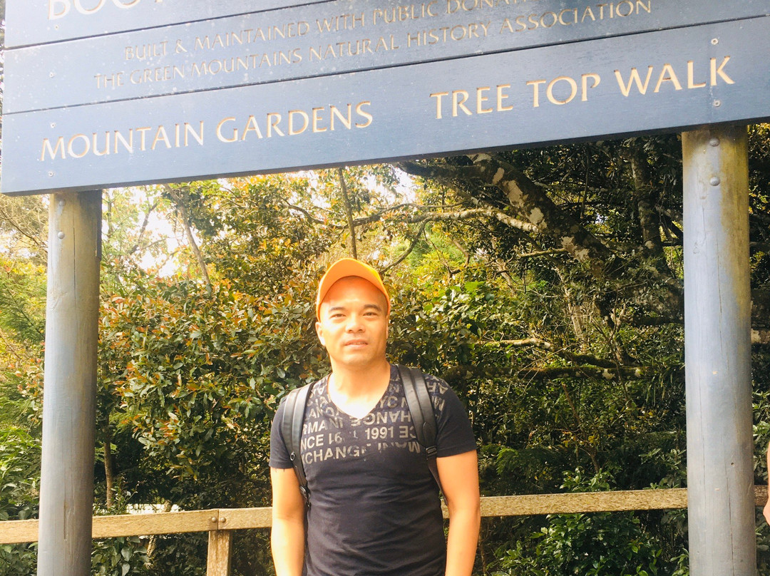 Lamington National Park景点图片