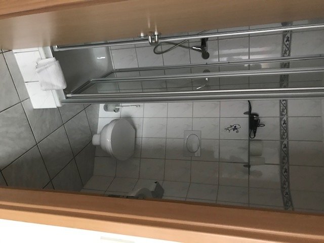 Gasthof Ochsen-浴室