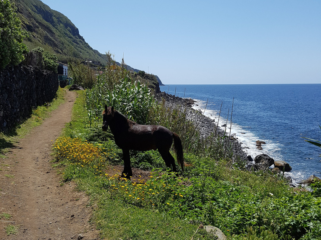 Rocha da Relva-Relva必去景点