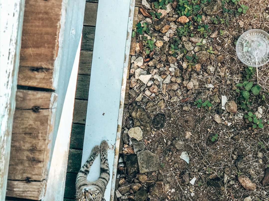 Five Senses Antigua主图