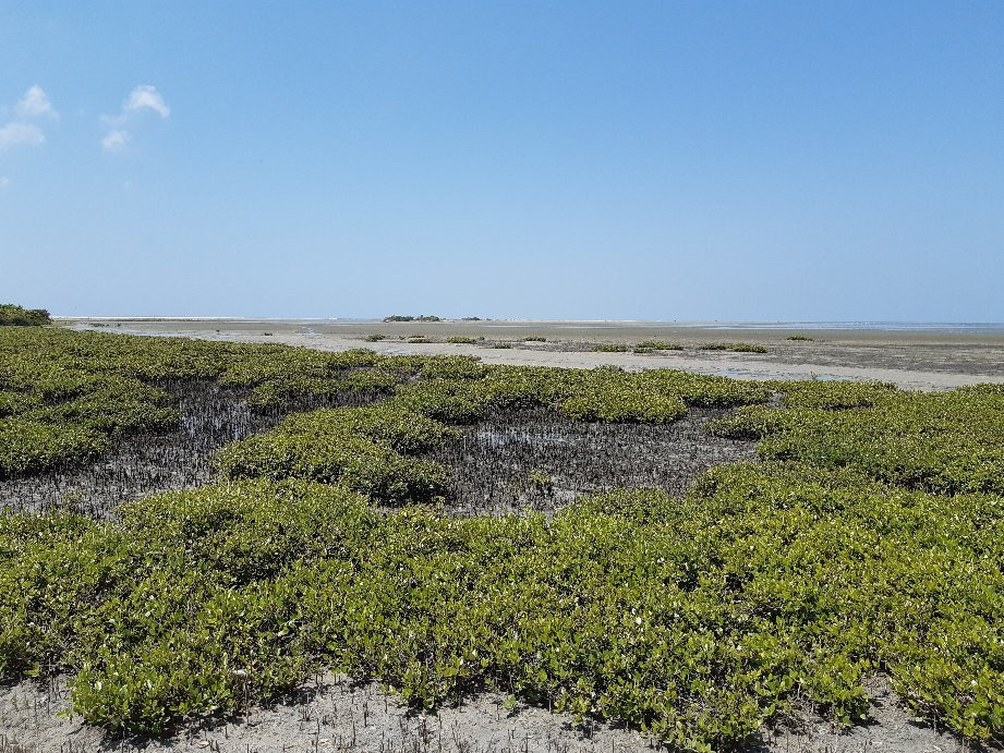 Adam’s Bridge-马纳尔必去景点