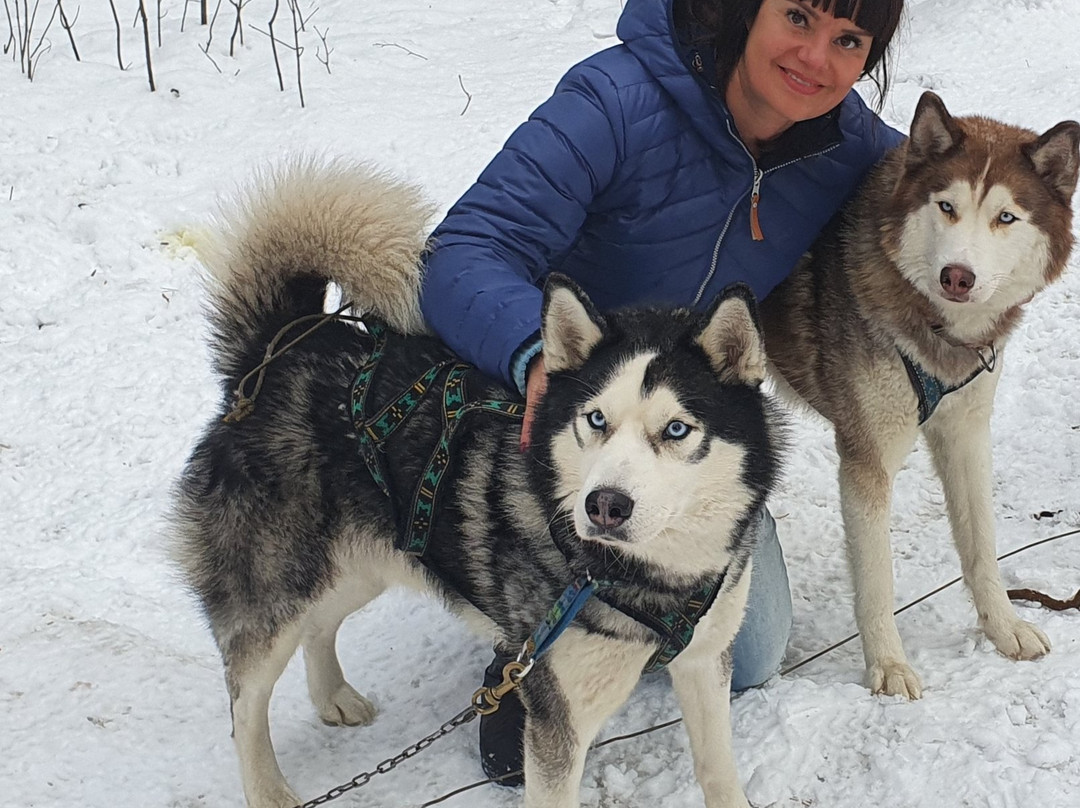 Serebro Severa Sled Dog Village-Tolyatti必去景点