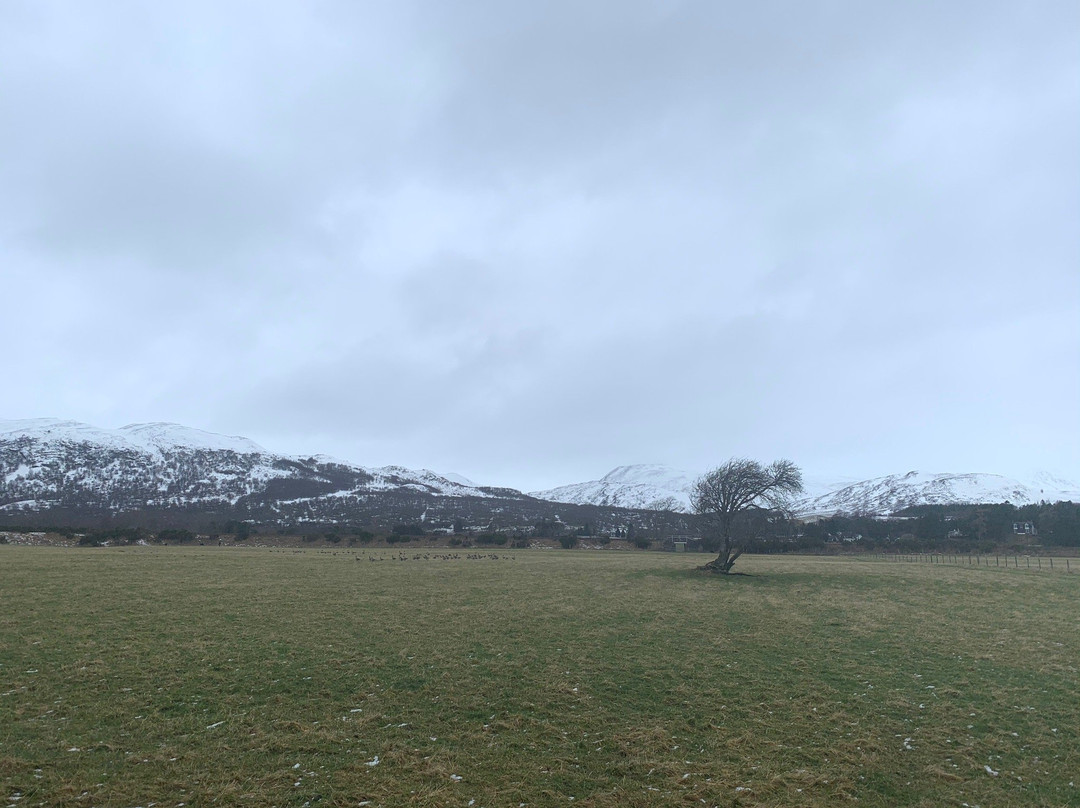 OYO Braeriach Hotel, Highlands Scotland主图