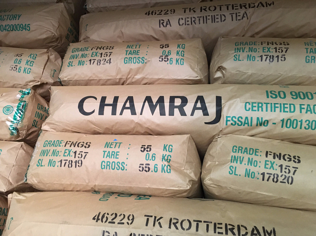 The Clive & Curzon主图