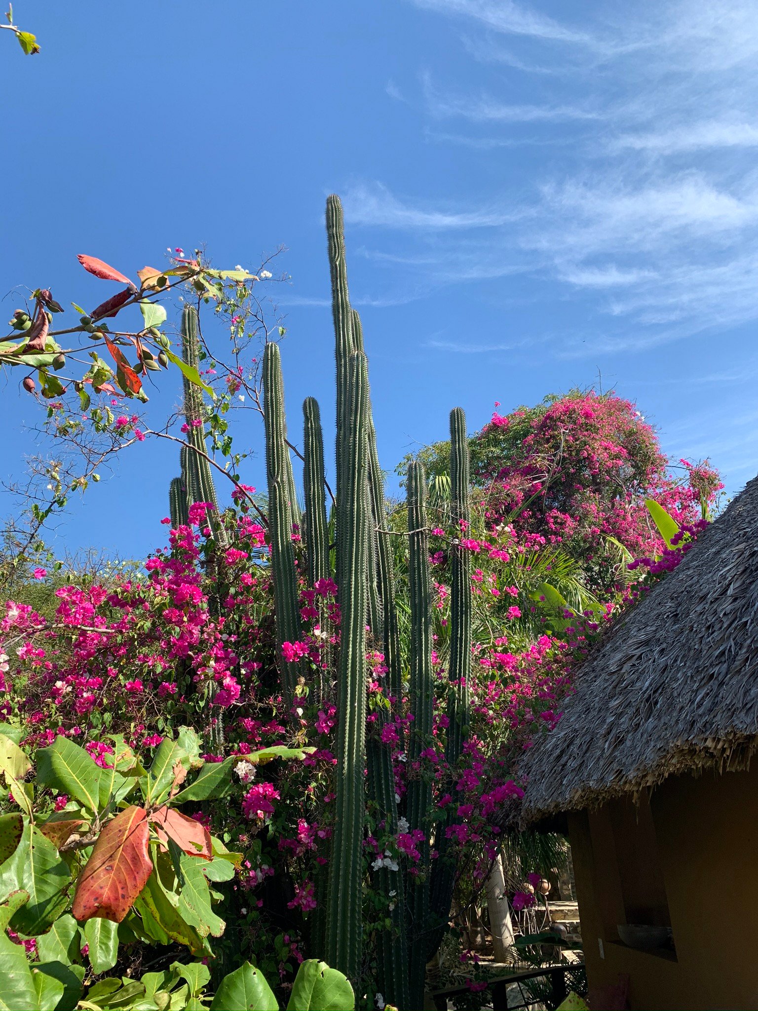 Casa Sol Zipolite-浴室