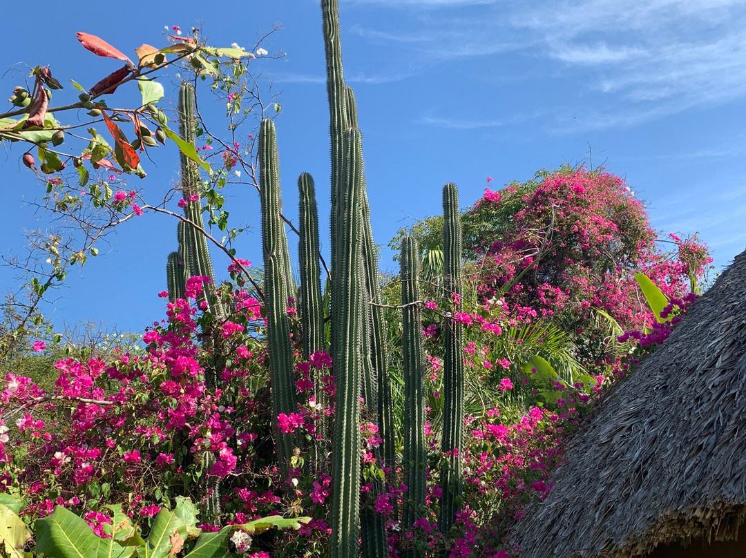 Casa Sol Zipolite主图