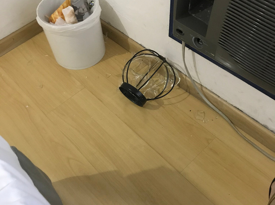 Vitória Palace Hotel主图