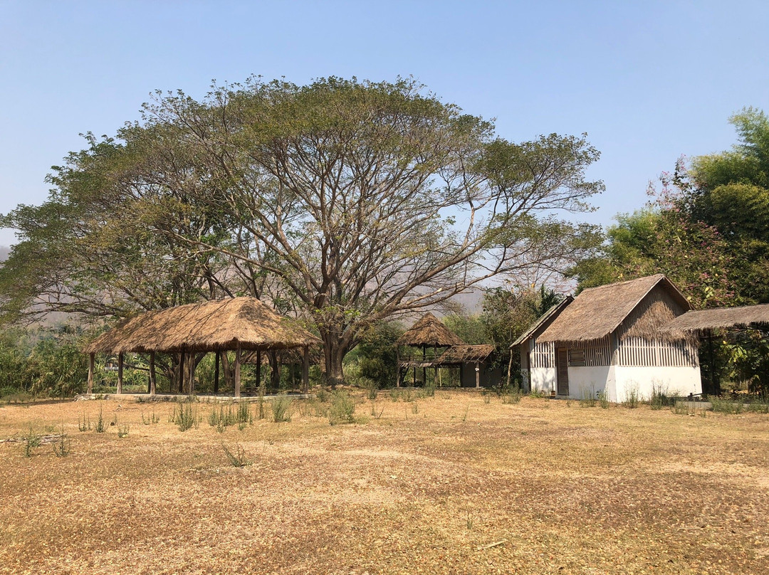 Maeklang Elephant Conservation Community-Mae Win必去景点