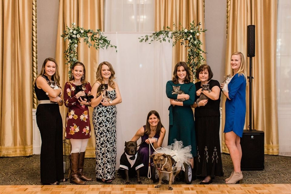 巴尔的摩勋爵酒店主图