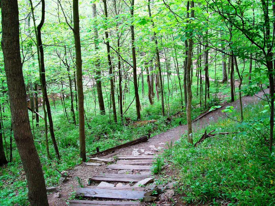 Days Inn by Wyndham Batavia Ohio主图