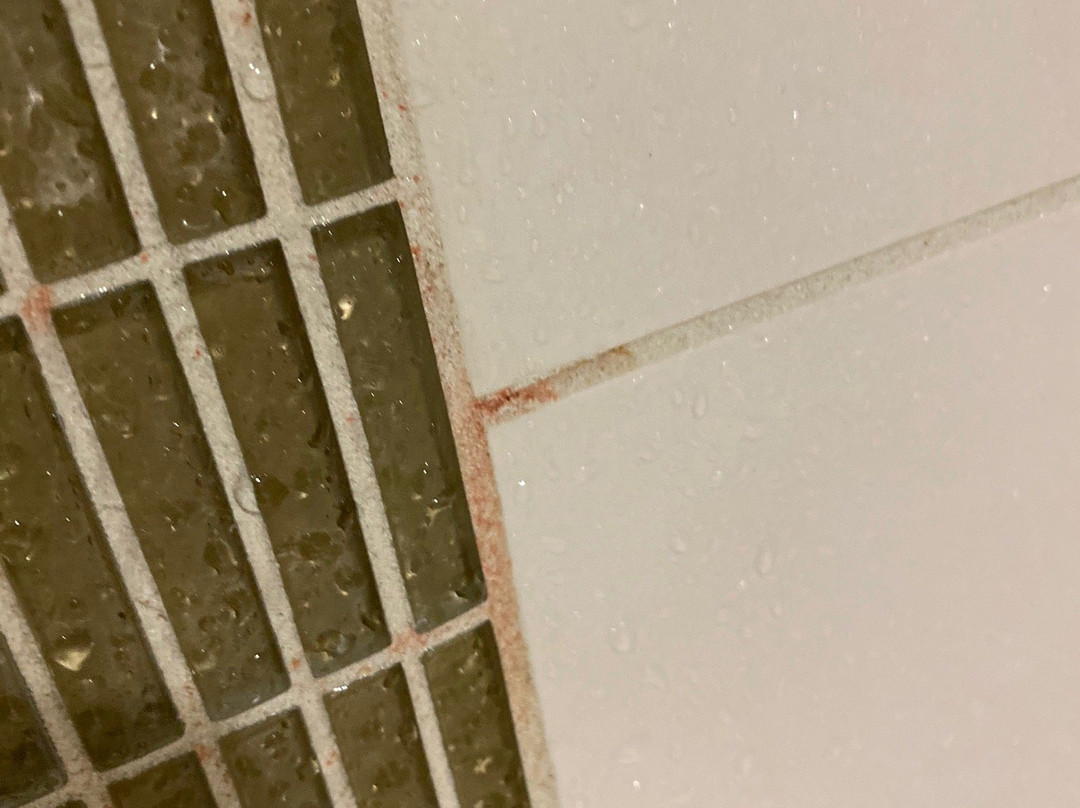 Hyatt Place Austin/Round Rock主图