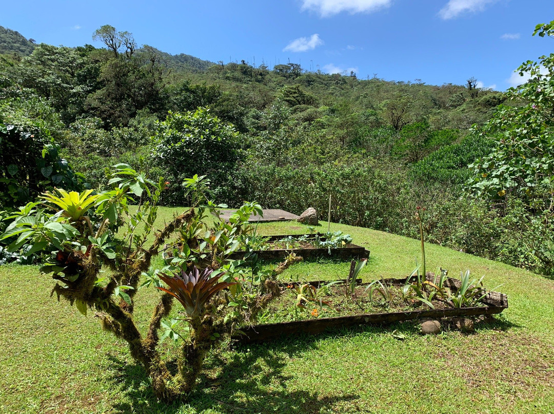 El Canto Del Rio主图