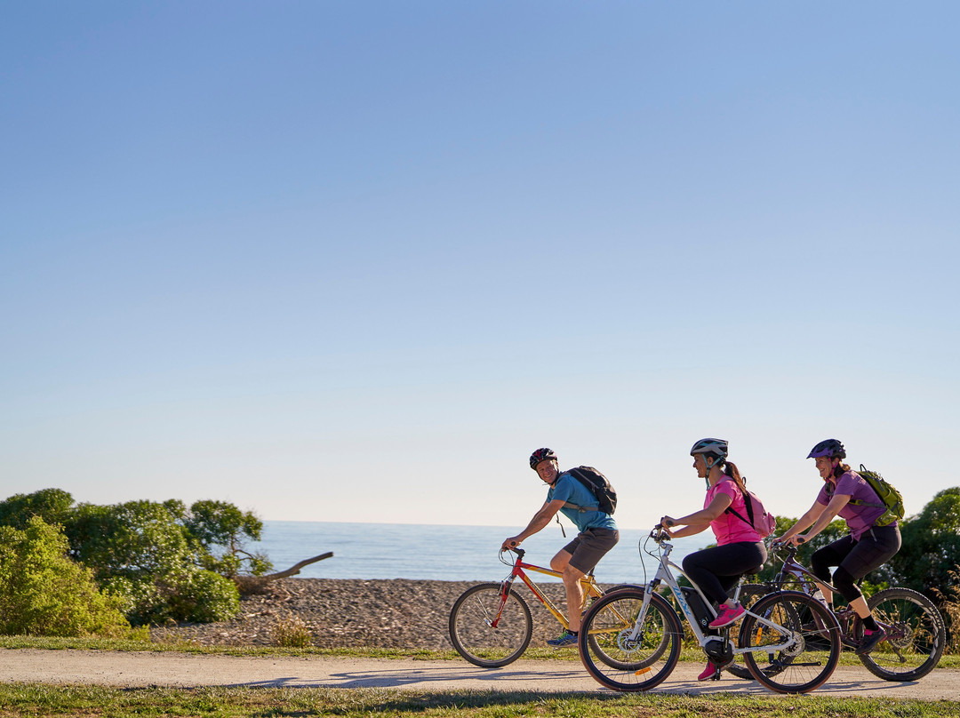 Hawke's Bay Trails景点图片