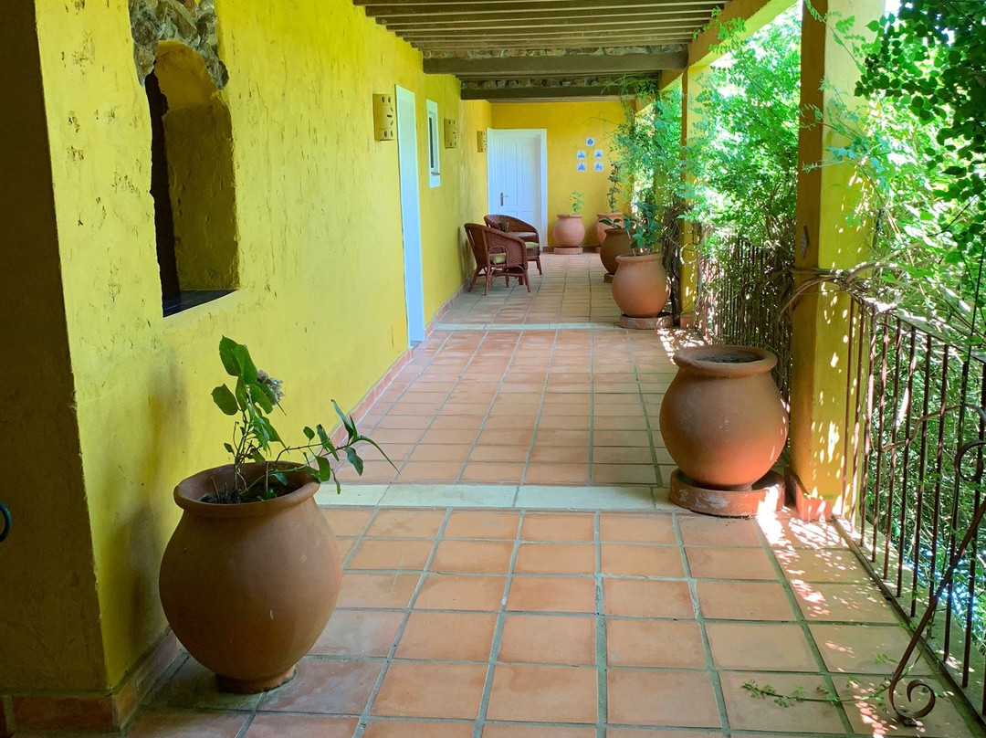 Hotel La Bluette主图