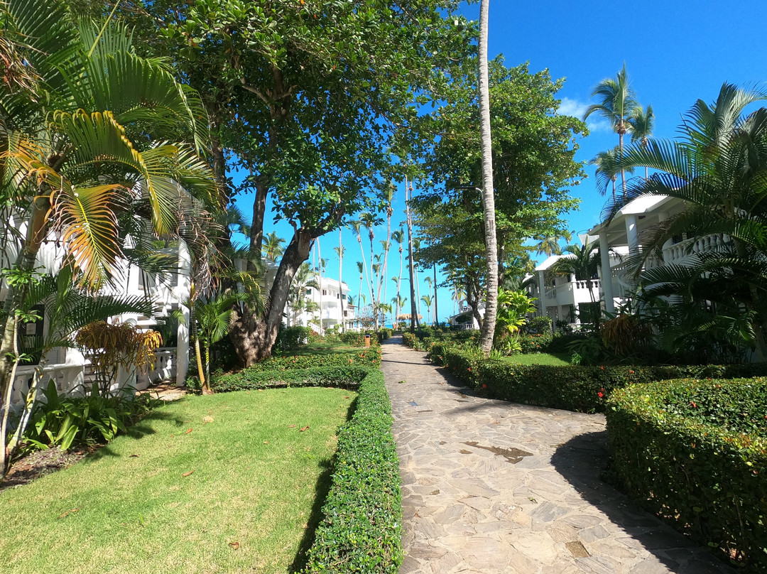 Turtle Lagoon Beach主图